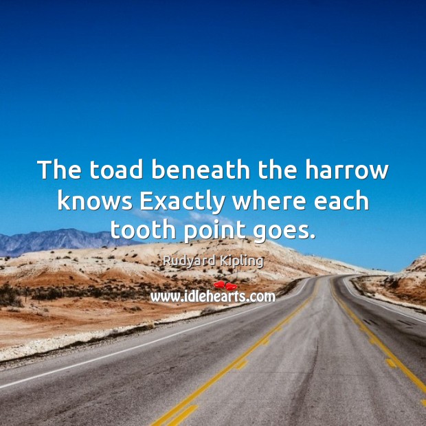 The toad beneath the harrow knows Exactly where each tooth point goes. Rudyard Kipling Picture Quote