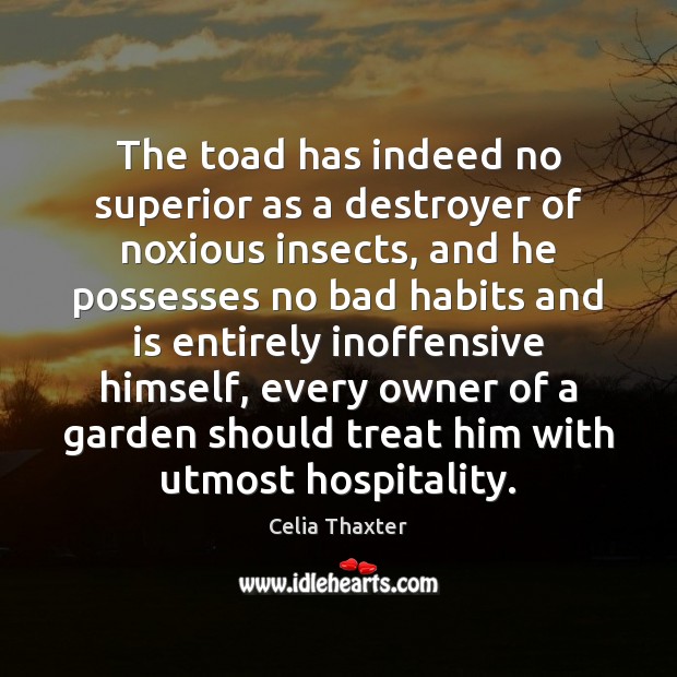 The toad has indeed no superior as a destroyer of noxious insects, Celia Thaxter Picture Quote