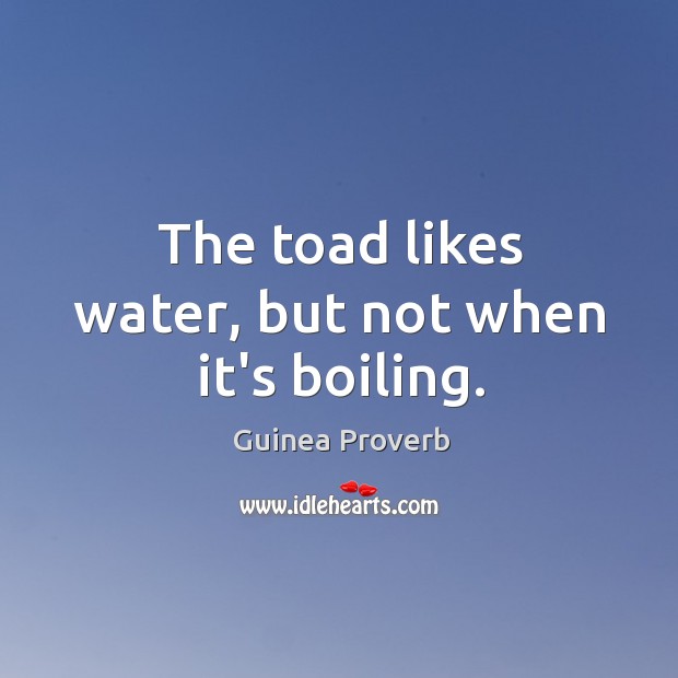 The toad likes water, but not when it’s boiling. Guinea Proverbs Image