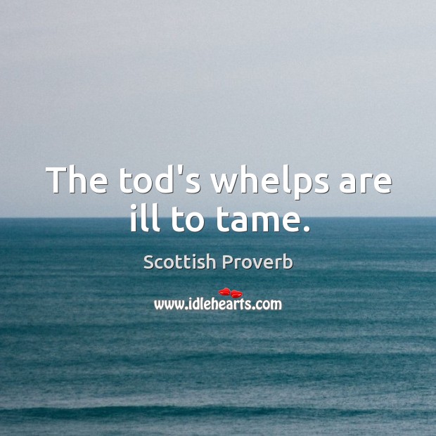 The tod’s whelps are ill to tame. Scottish Proverbs Image