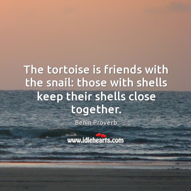 The tortoise is friends with the snail: Benin Proverbs Image