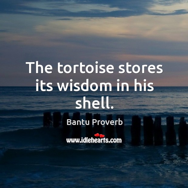 The tortoise stores its wisdom in his shell. Bantu Proverbs Image