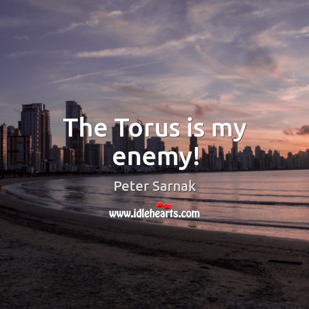 The Torus is my enemy! Peter Sarnak Picture Quote