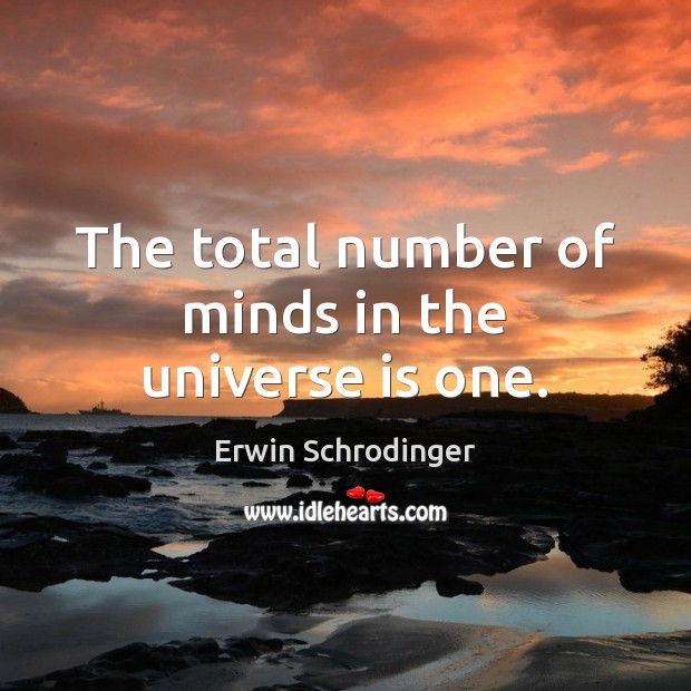 The total number of minds in the universe is one. Erwin Schrodinger Picture Quote