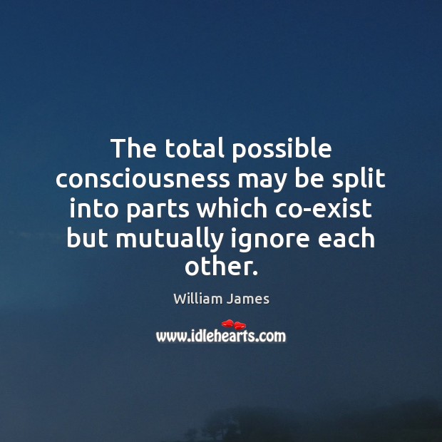 The total possible consciousness may be split into parts which co-exist but William James Picture Quote