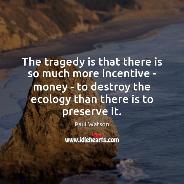 The tragedy is that there is so much more incentive – money Paul Watson Picture Quote