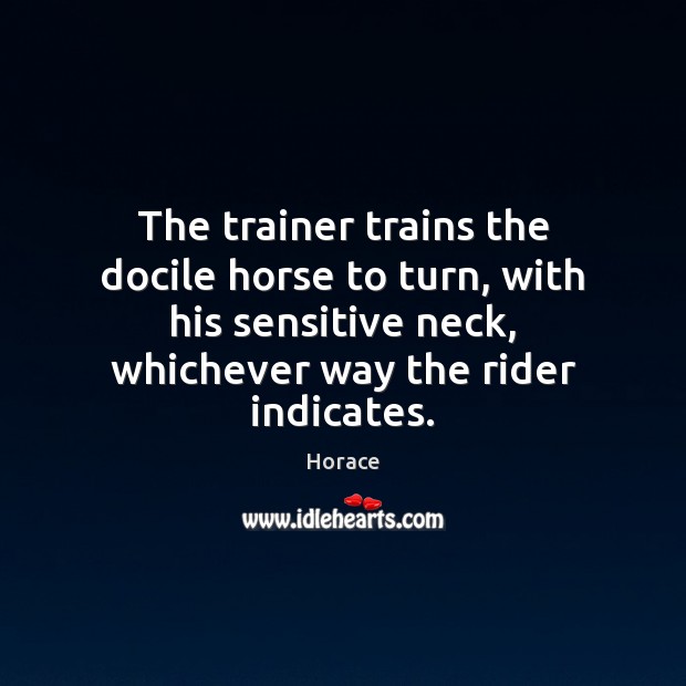 The trainer trains the docile horse to turn, with his sensitive neck, Image
