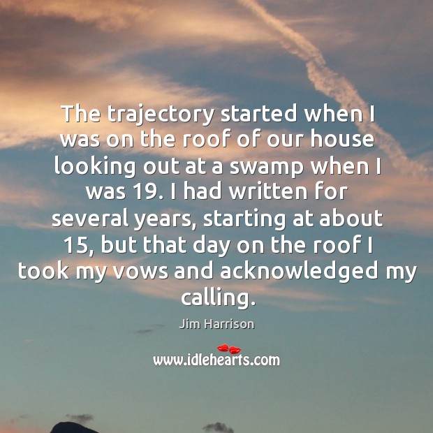 The trajectory started when I was on the roof of our house looking out at a swamp when I was 19. Image