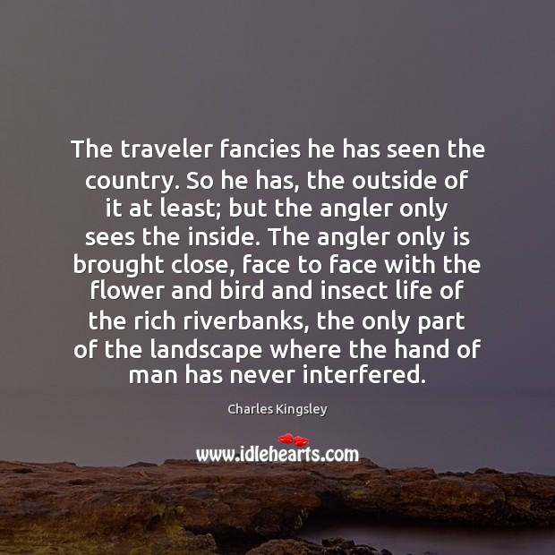 The traveler fancies he has seen the country. So he has, the Image