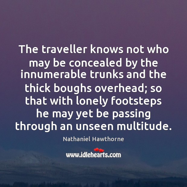 The traveller knows not who may be concealed by the innumerable trunks Nathaniel Hawthorne Picture Quote