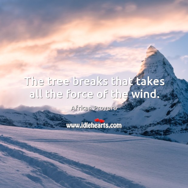 The tree breaks that takes all the force of the wind. Image
