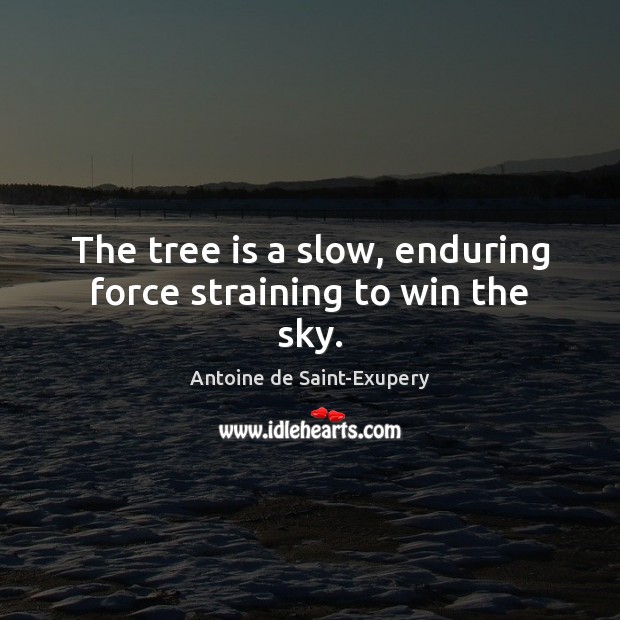 The tree is a slow, enduring force straining to win the sky. Antoine de Saint-Exupery Picture Quote