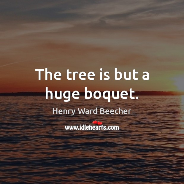 The tree is but a huge boquet. Henry Ward Beecher Picture Quote