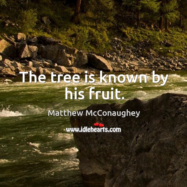 The tree is known by his fruit. Image