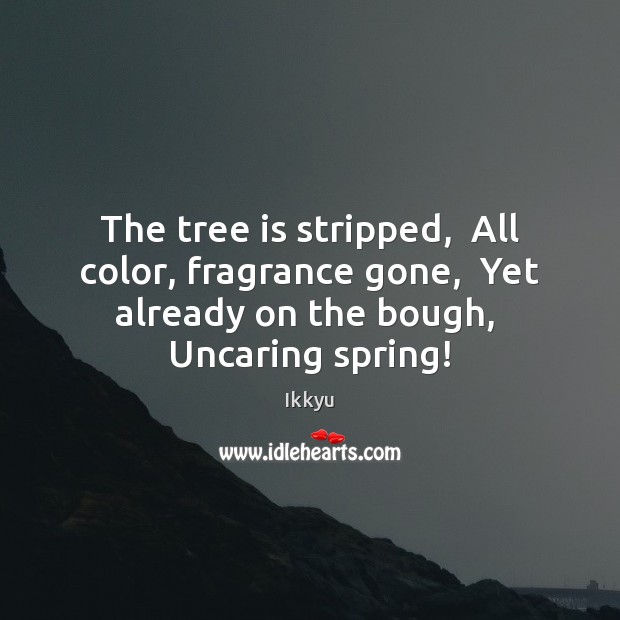 The tree is stripped,  All color, fragrance gone,  Yet already on the Ikkyu Picture Quote