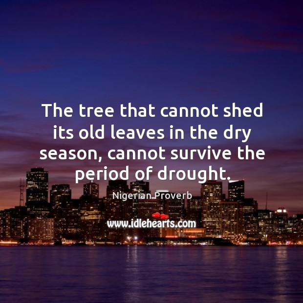 The tree that cannot shed its old leaves in the dry season Image