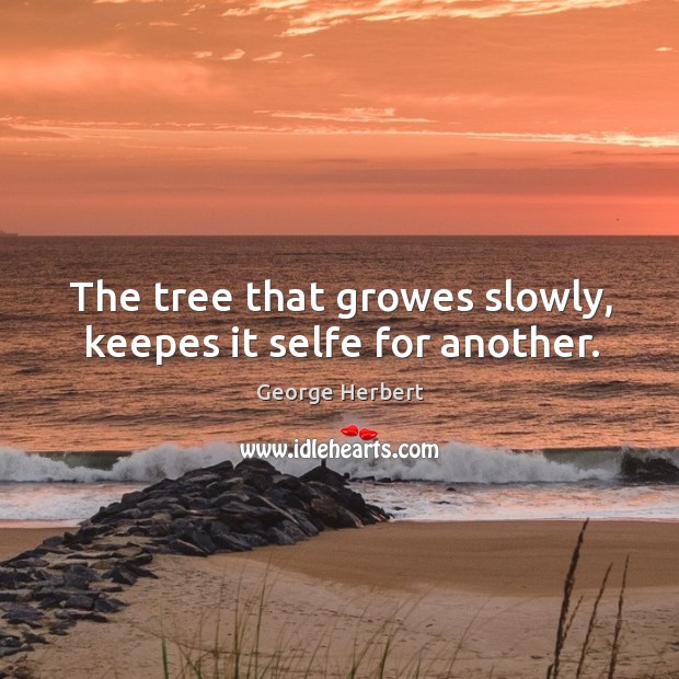The tree that growes slowly, keepes it selfe for another. George Herbert Picture Quote