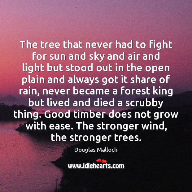 The tree that never had to fight for sun and sky and Douglas Malloch Picture Quote