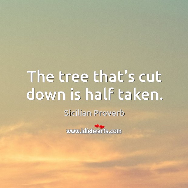 The tree that’s cut down is half taken. Sicilian Proverbs Image