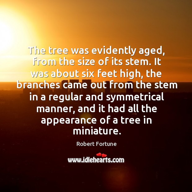 The tree was evidently aged, from the size of its stem. It was about six feet high Robert Fortune Picture Quote
