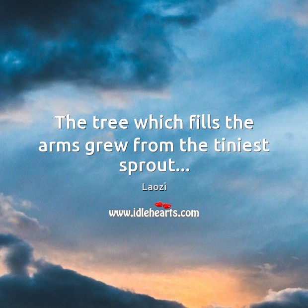 The tree which fills the arms grew from the tiniest sprout… Laozi Picture Quote