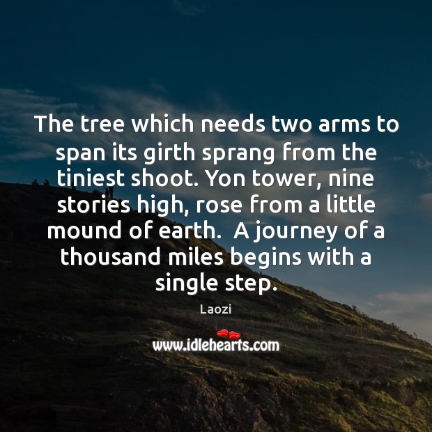 The tree which needs two arms to span its girth sprang from Laozi Picture Quote