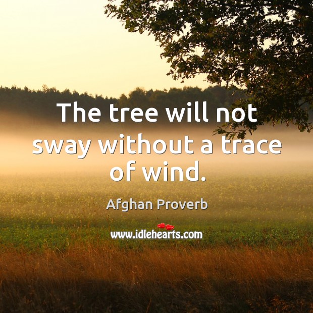 The tree will not sway without a trace of wind. Afghan Proverbs Image