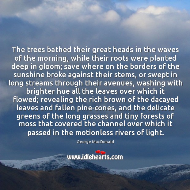 The trees bathed their great heads in the waves of the morning, Image