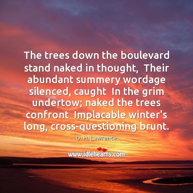 The trees down the boulevard stand naked in thought,  Their abundant summery D. H. Lawrence Picture Quote