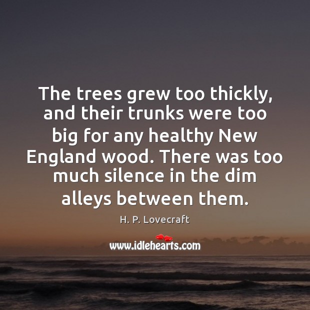 The trees grew too thickly, and their trunks were too big for Image