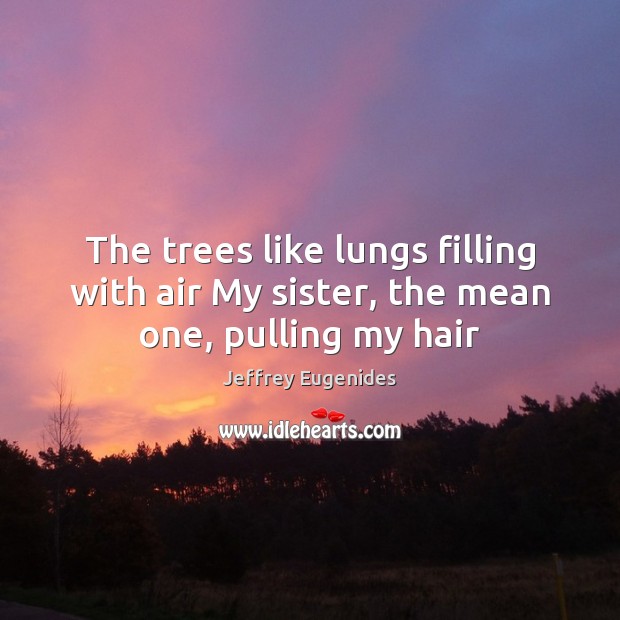 The trees like lungs filling with air My sister, the mean one, pulling my hair Jeffrey Eugenides Picture Quote