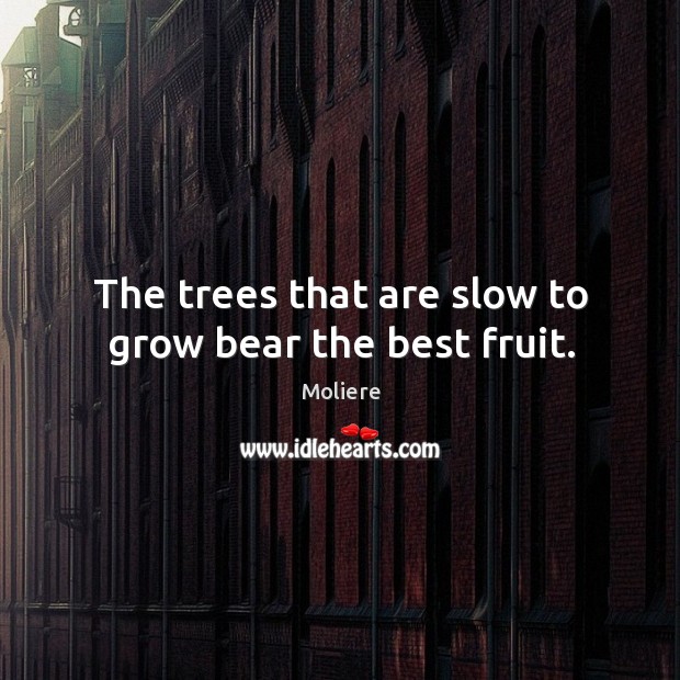 The trees that are slow to grow bear the best fruit. Moliere Picture Quote