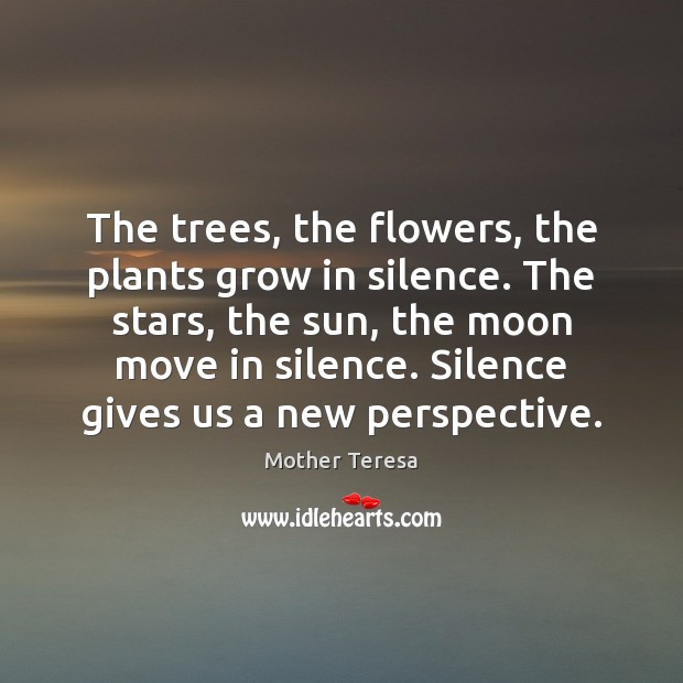 The trees, the flowers, the plants grow in silence. The stars, the Mother Teresa Picture Quote