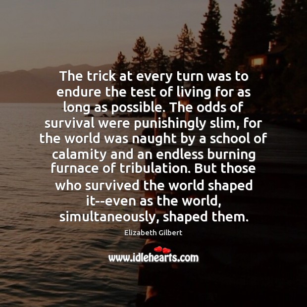 The trick at every turn was to endure the test of living Elizabeth Gilbert Picture Quote