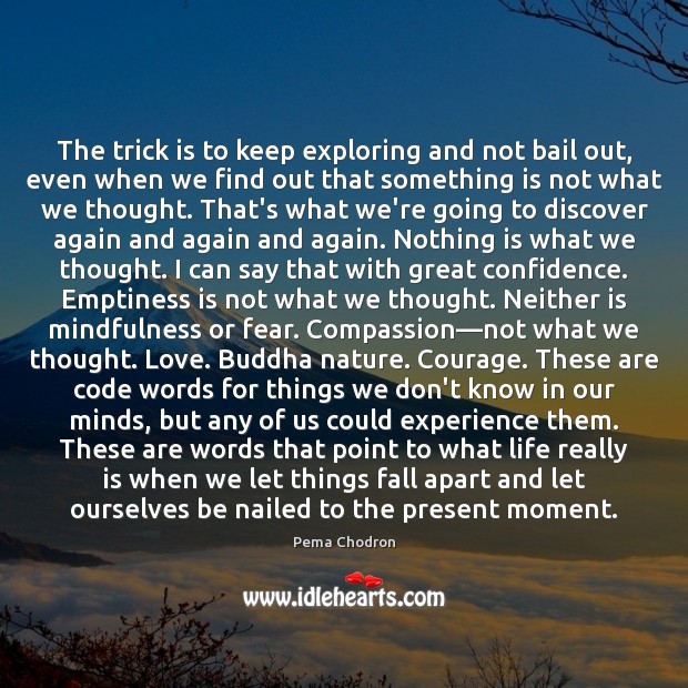 The trick is to keep exploring and not bail out, even when Pema Chodron Picture Quote