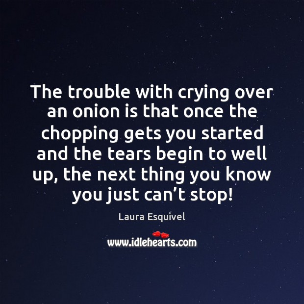 The trouble with crying over an onion is that once the chopping Image