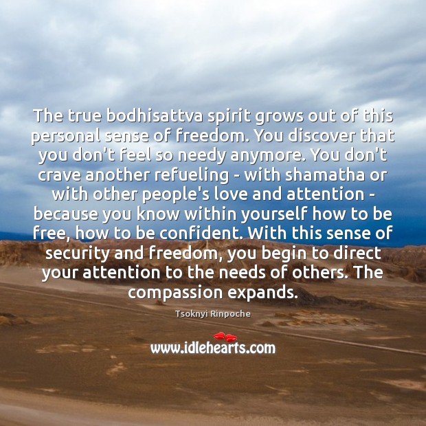 The true bodhisattva spirit grows out of this personal sense of freedom. Tsoknyi Rinpoche Picture Quote
