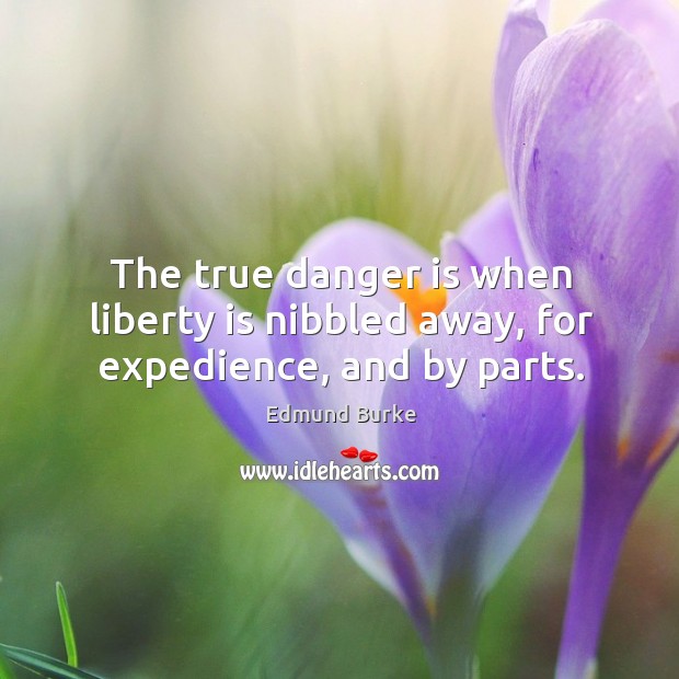 The true danger is when liberty is nibbled away, for expedience, and by parts. Liberty Quotes Image