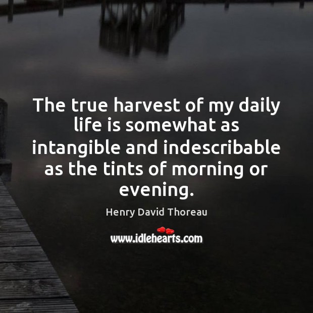 The true harvest of my daily life is somewhat as intangible and Henry David Thoreau Picture Quote