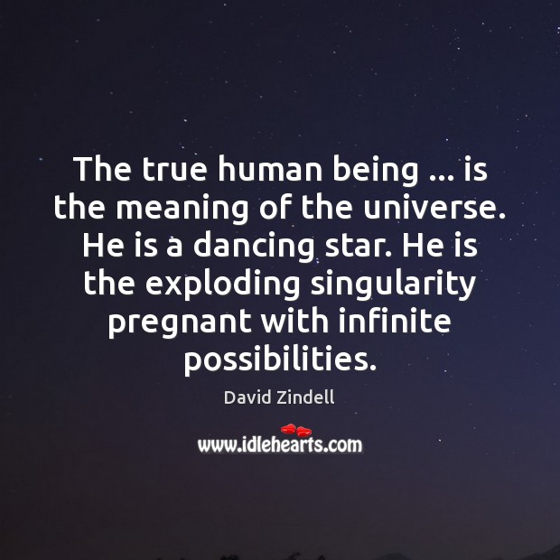 The true human being … is the meaning of the universe. He is David Zindell Picture Quote