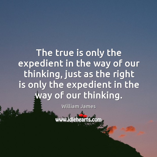 The true is only the expedient in the way of our thinking William James Picture Quote