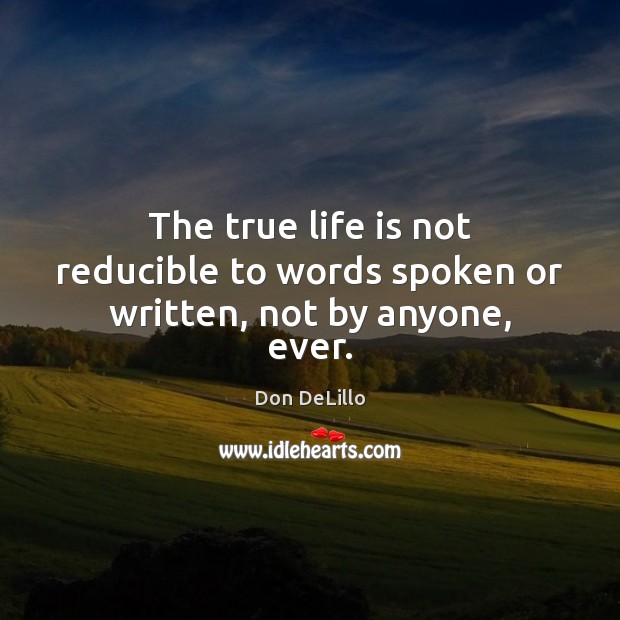 The true life is not reducible to words spoken or written, not by anyone, ever. Image