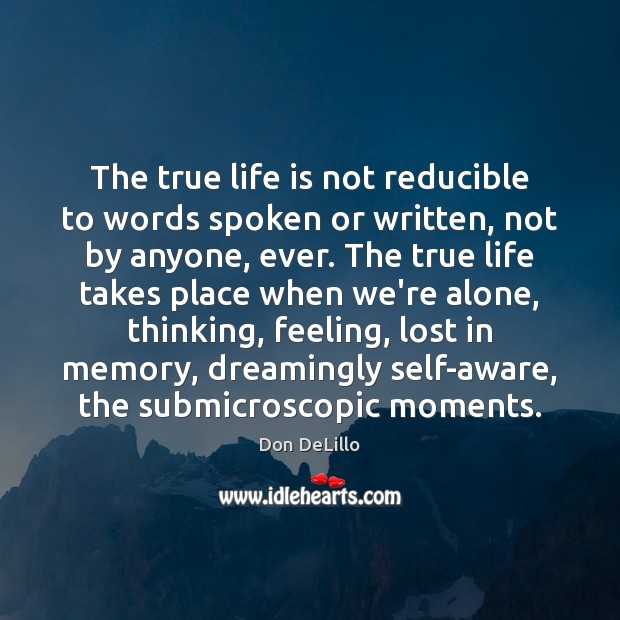 The true life is not reducible to words spoken or written, not Don DeLillo Picture Quote
