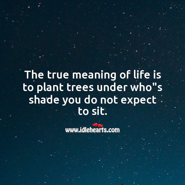 The true meaning of life is to plant trees under who”s shade you do not expect to sit. Image