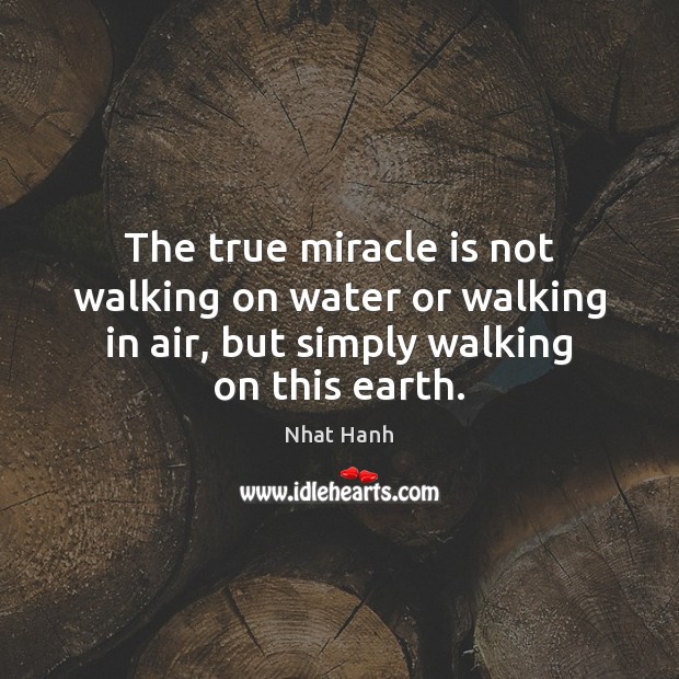 The true miracle is not walking on water or walking in air, Nhat Hanh Picture Quote