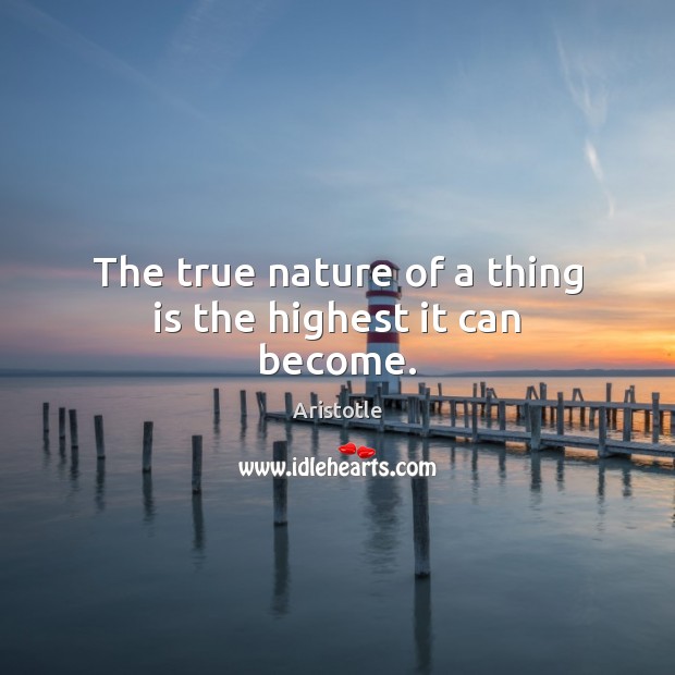 The true nature of a thing is the highest it can become. Image