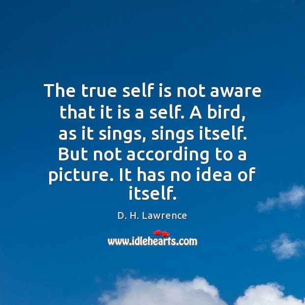 The true self is not aware that it is a self. A D. H. Lawrence Picture Quote