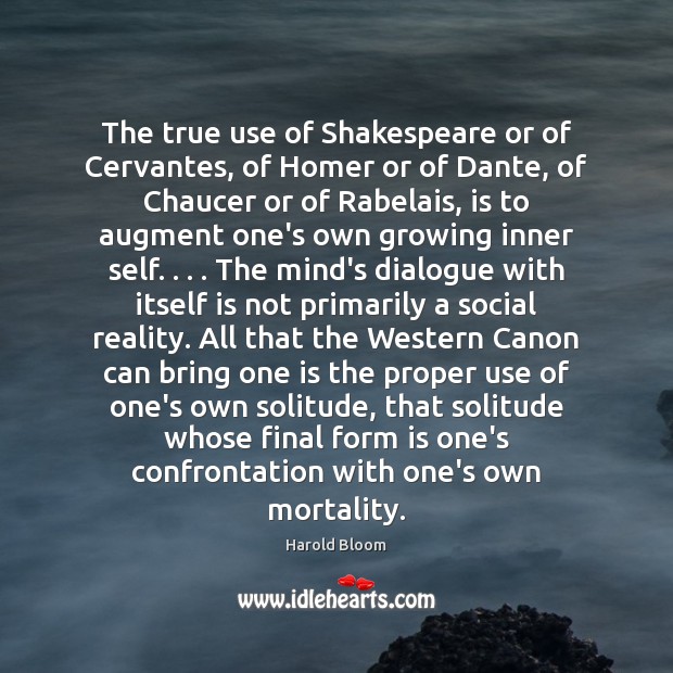 The true use of Shakespeare or of Cervantes, of Homer or of Harold Bloom Picture Quote