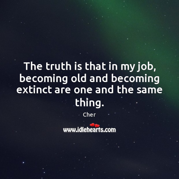 The truth is that in my job, becoming old and becoming extinct are one and the same thing. Cher Picture Quote