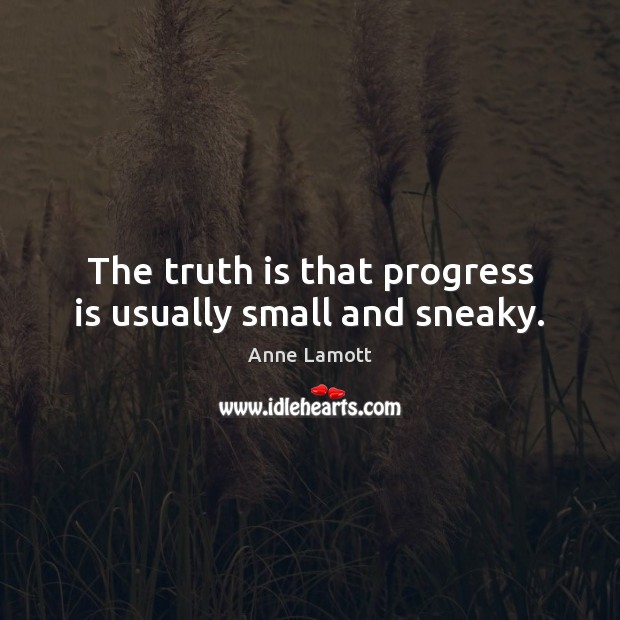The truth is that progress is usually small and sneaky. Anne Lamott Picture Quote